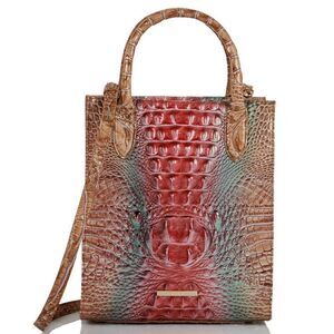 Brahmin Lakeridge Ombre Melbourne  tote